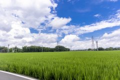 <b>顺应绿色发展趋势，突破助力碳中和时代</b>